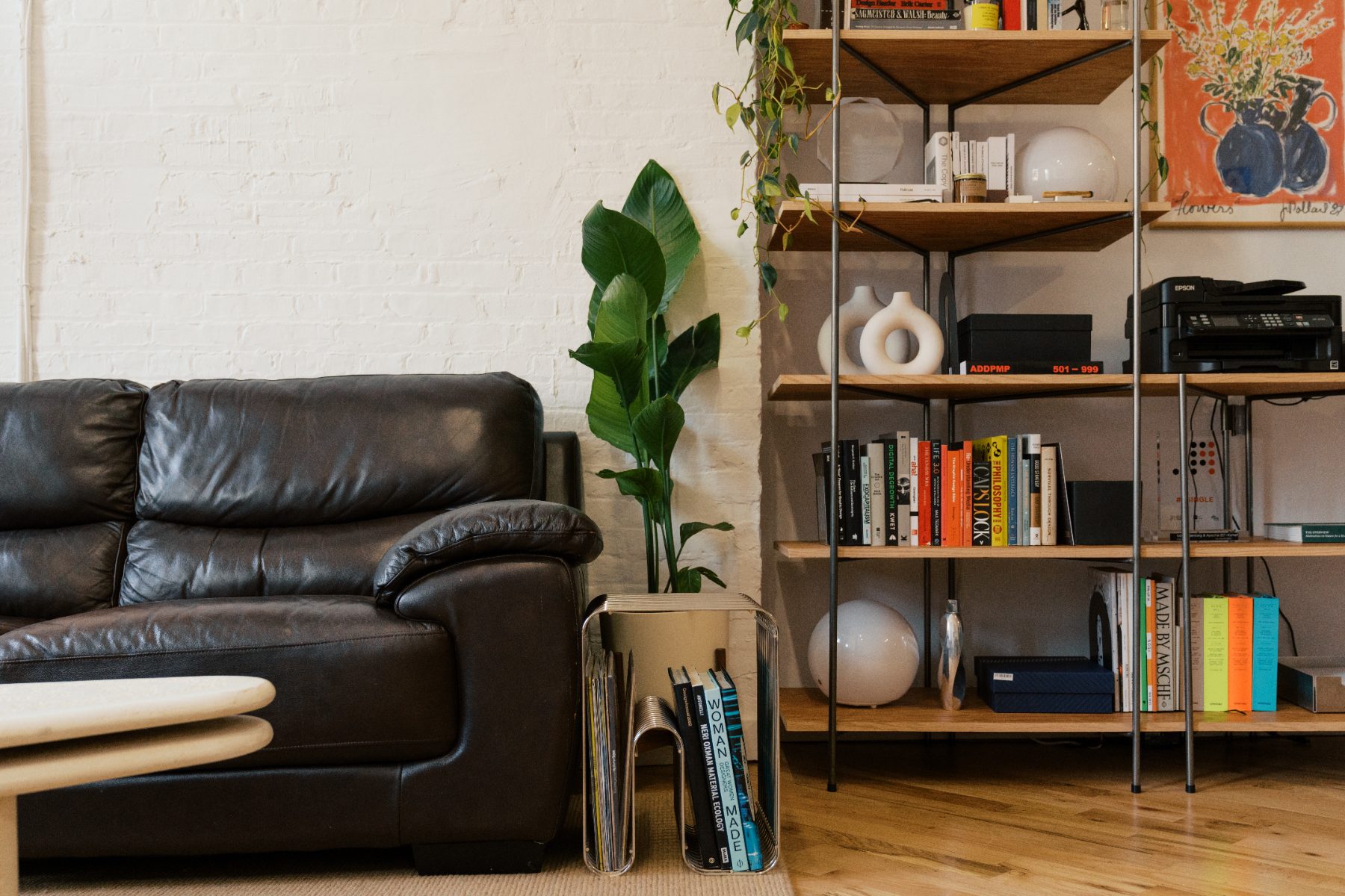 The couch and shelves
